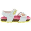 Densa White