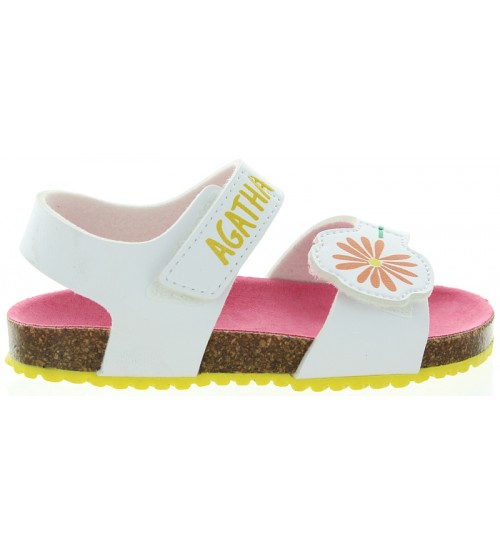 Densa White