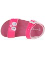 Face Fuchsia 