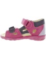Rokia Fuchsia