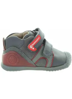 Ader Gray