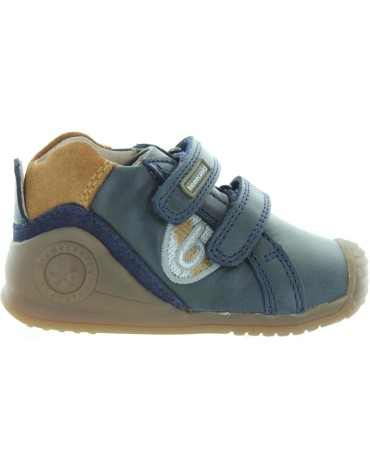 Waldus Blue