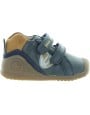 Waldus Blue