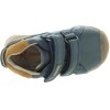 Waldus Blue