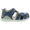 Komar Blue
