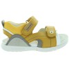 Mars Yellow