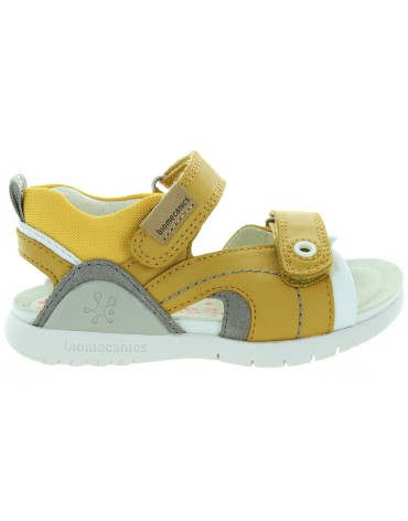Mars Yellow