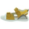 Mars Yellow