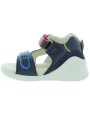 Amer Navy