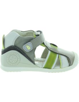 Dikson Gray Dikson Gray