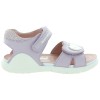 Heart Purple