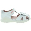 Motyl White