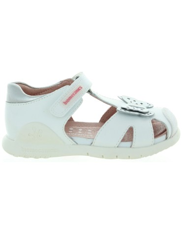 Motyl White