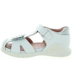 Motyl White Motyl White