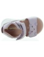 Dog Purple