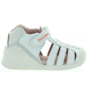 Seahorse White