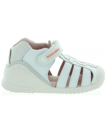 Seahorse White