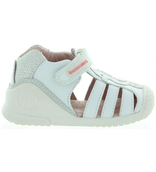 Seahorse White