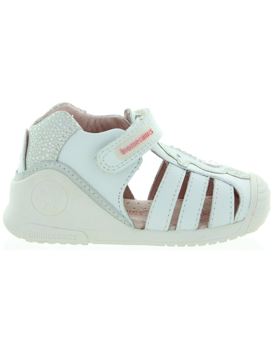 Seahorse White