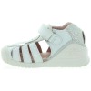 Seahorse White