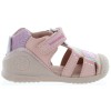 Turtle Pink
