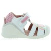Turtle White