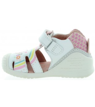 Turtle White Turtle White