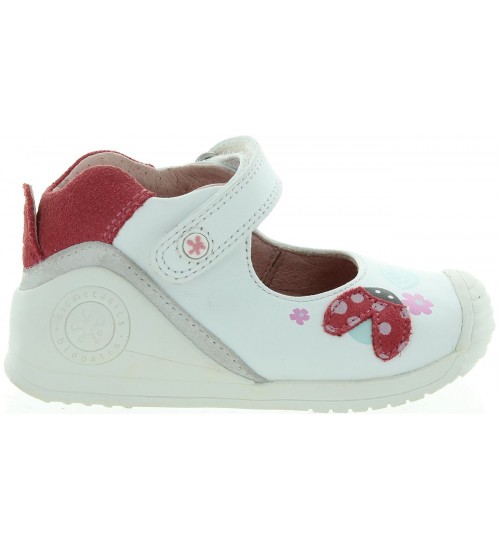 Laktoza White
