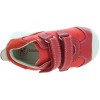 Pucek Red