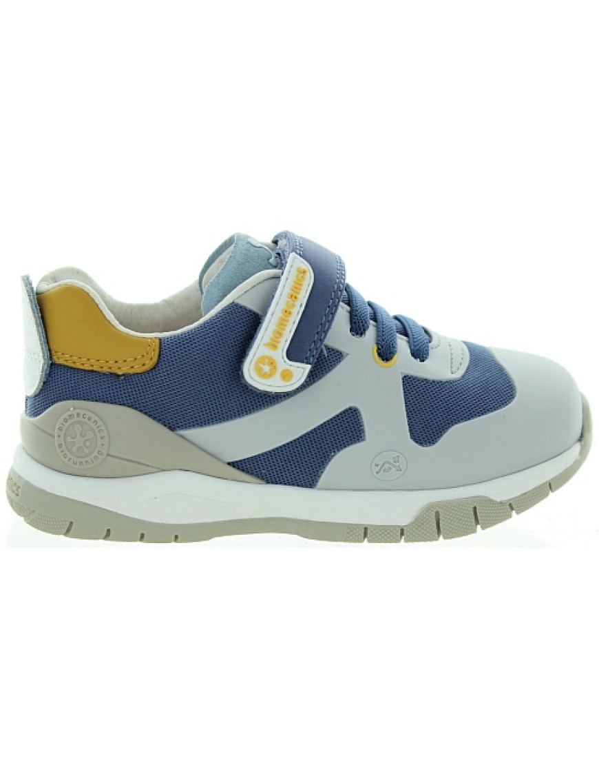 Luc Blue/Yellow