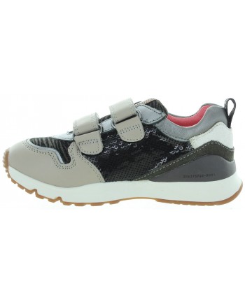 Zebra Gray
