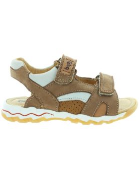 Montenegro Brown Montenegro Brown