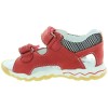 Browar Red