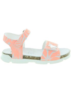 Kaz Orange Kaz Orange