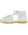 Lemon Silver 