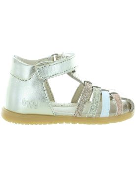 Shandi Gold Shandi Gold