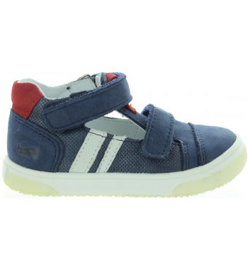 Burmistrz Blue