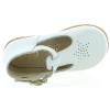 Babylonia White 