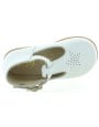 Babylonia White