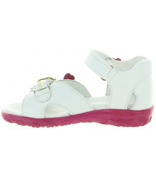 Maslo White Maslo White