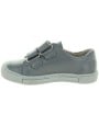 Acid Gray