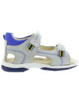 Kalisz Gray Kalisz Gray