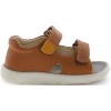 Bomba Brown