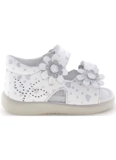 Gebra White/Print