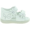 Gebra White