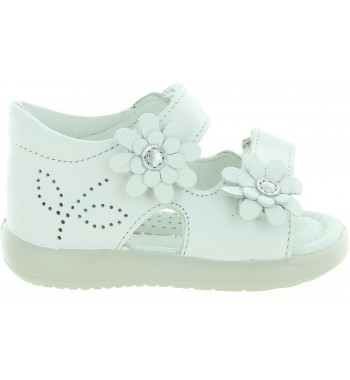 Gebra White