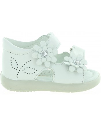 Gebra White