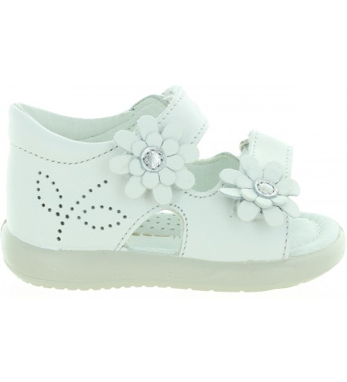 Gebra White