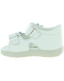 Gebra White