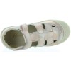 Pedro Rose Metallic 